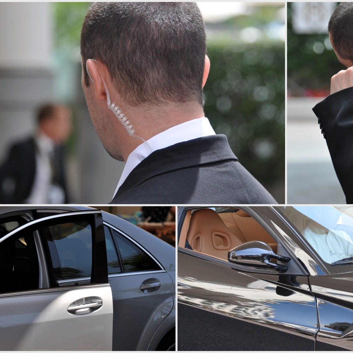 bodyguards (multi) bodyguards (multi)